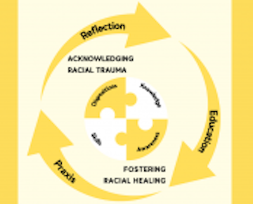 Sphere 5: Acknowledging Racial Trauma and Fostering Racial Healing